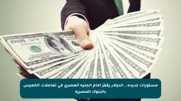 مستويات جديدة.. الدولار يقفز أمام الجنيه المصري في تعاملات الخميس بالبنوك المصرية